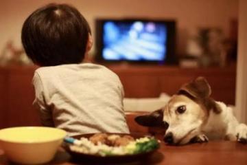 2023年6月上映的电视剧有哪些